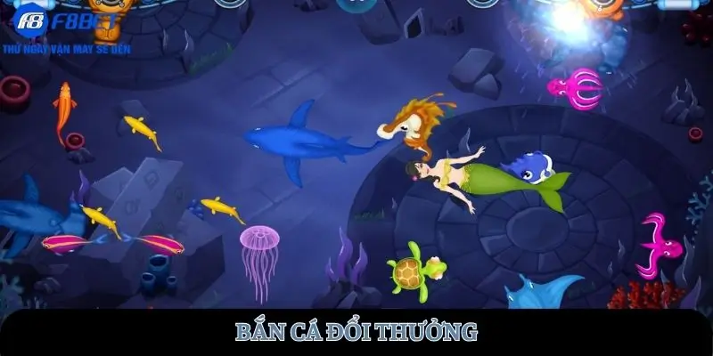 ban-ca-doi-thuong