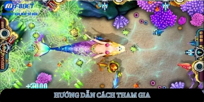 Hướng dẫn cách tham gia