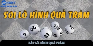 bat-lo-hinh-qua-tram