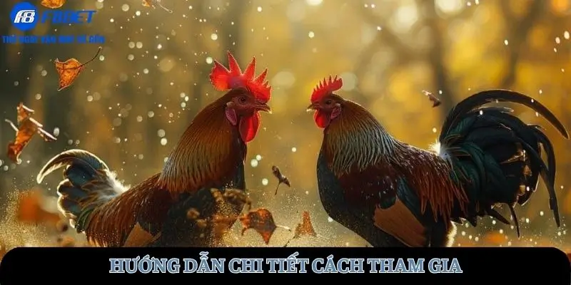Hướng dẫn cách tham gia