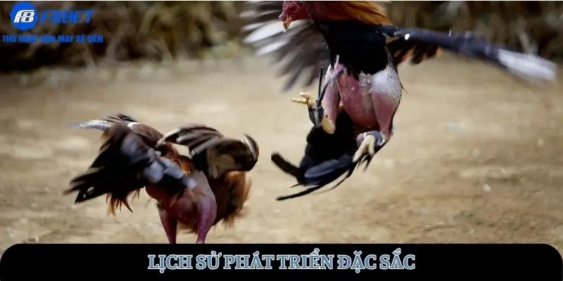 Lịch sử phát triển đặc sắc