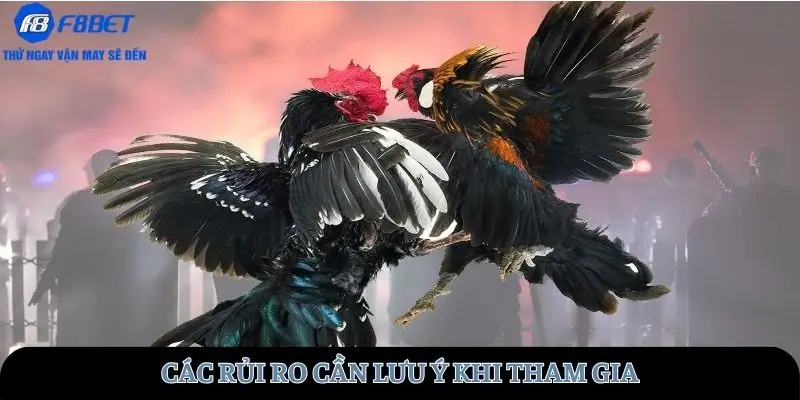 Các rủi ro cần lưu ý