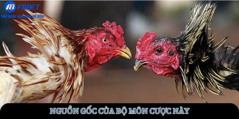 Nguồn gốc của bộ môn cược này