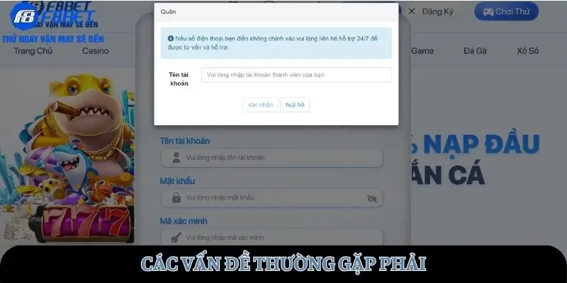 Các vấn đề thường gặp phải