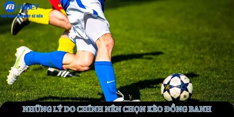 Những lý do chính nên chọn kèo đồng banh