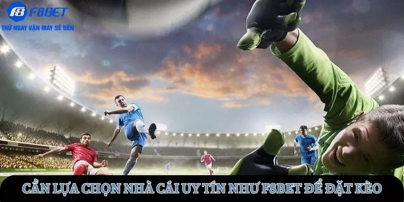 Cần lựa chọn nhà cái uy tín như F8BET để đặt kèo