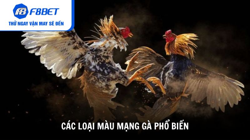Các loại màu mạng gà phổ biến