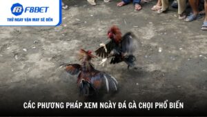 Các phương pháp xem ngày đá gà chọi phổ biến