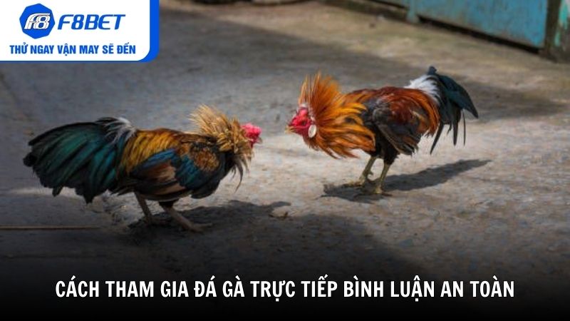 Cách tham gia đá gà trực tiếp bình luận an toàn