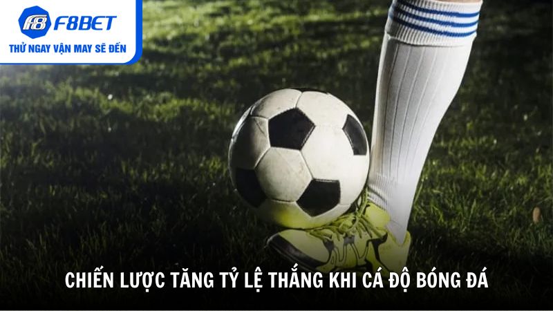 Chiến lược tăng tỷ lệ thắng khi cá độ bóng đá cùng F8BET