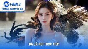 Đá gà nòi trực tiếp F8bet