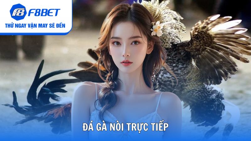 Đá gà nòi trực tiếp F8bet