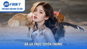 Đá Gà Trực Tuyến Thomo Đỉnh Cao Cho Kê Thủ Của F8bet