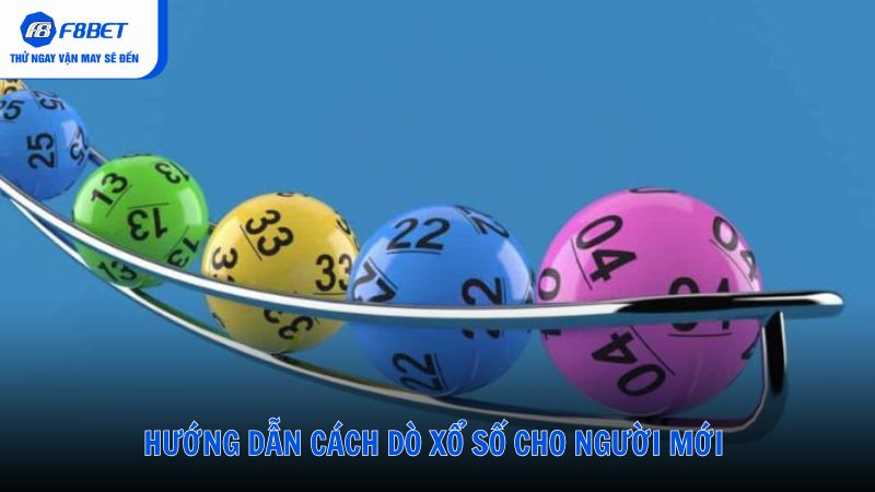 Hướng Dẫn Cách Dò Xổ Số Cho Người Mới Bắt Đầu