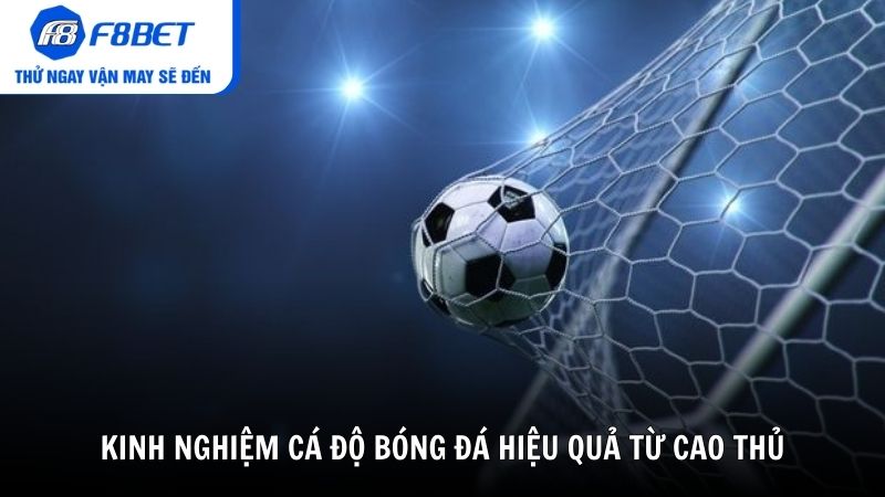 Kinh nghiệm cá độ bóng đá hiệu quả từ cao thủ F8BET