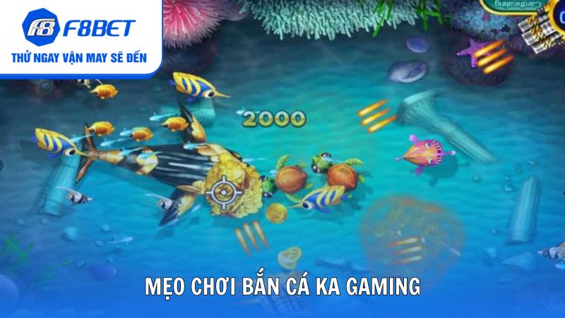 Mẹo chơi bắn cá KA Gaming để tối ưu điểm số
