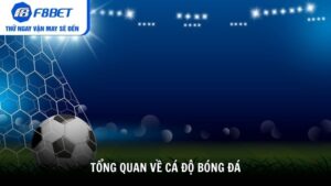 Tổng quan về cá độ bóng đá