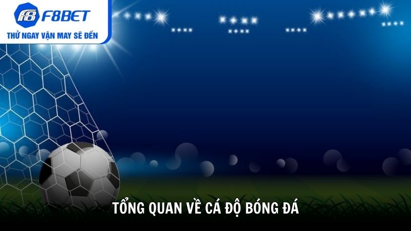 Tổng quan về cá độ bóng đá
