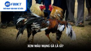 Xem màu mạng gà là gì?